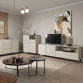 Avenale TV Cabinet 2 Door 1 Drawer in Cashmere - image 5