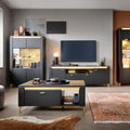 Genoa Sideboard 2 Door in Black Matt/Gold - image 4