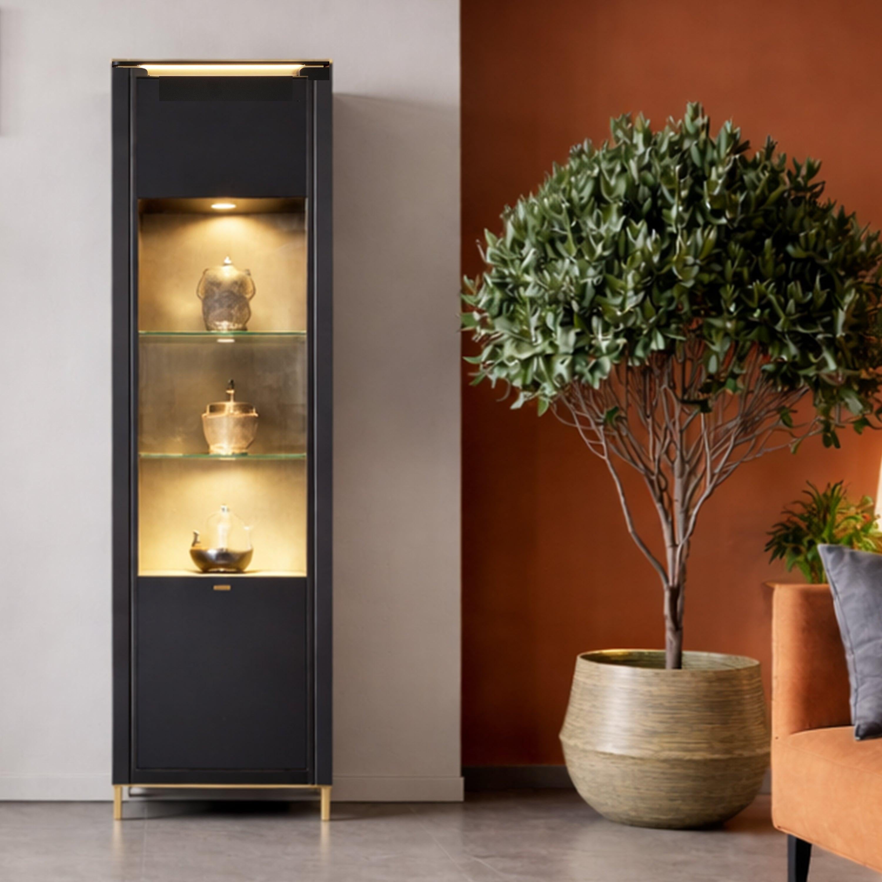 Genoa Vitrin 1 Door in Black Matt/Gold - image 2