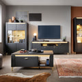 Genoa Vitrin 2 Door in Black Matt/Gold - image 3