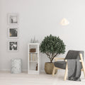 Basic Low Narrow Display Cabinet in White (2 Shelves) with Glass White Door - image 3
