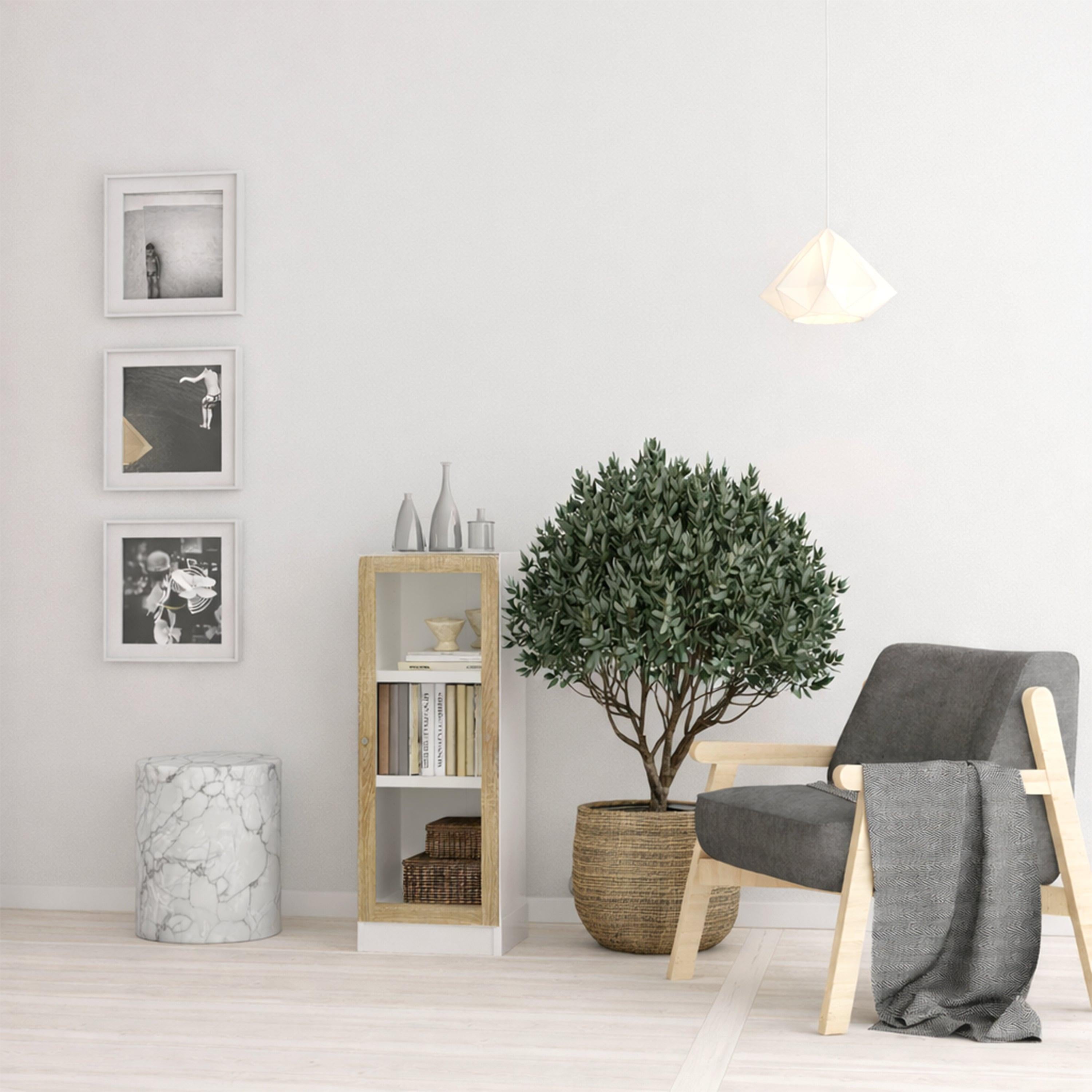 Basic Low Narrow Display Cabinet in White (2 Shelves) with Glass Oak Door - image 3