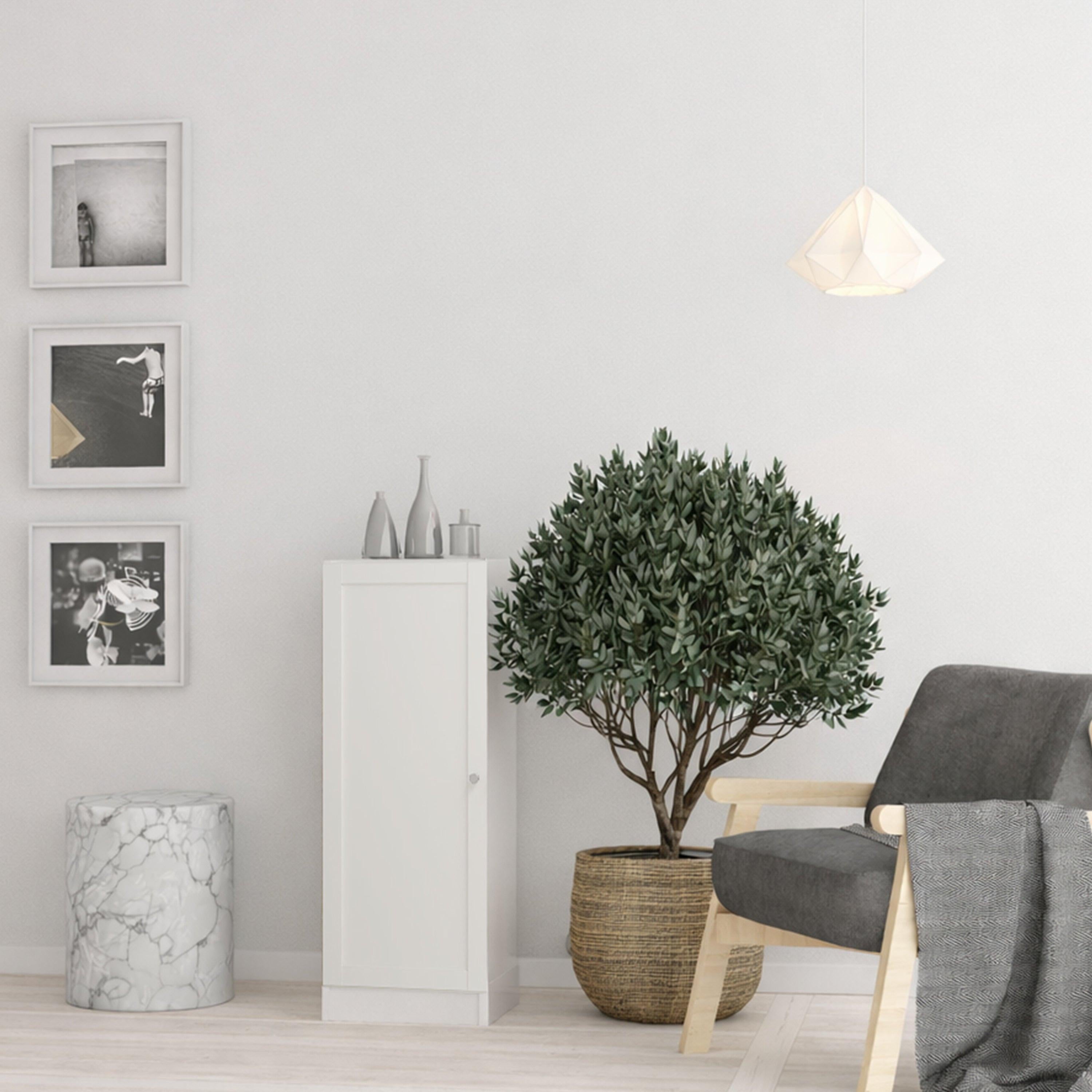 Basic Low Narrow Storage Cabinet in White (2 Shelves) with White Door - image 3