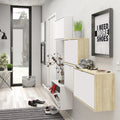 Shoes Shoe Cabinet 2 Flip Down Doors and 1 layer in White - image 4