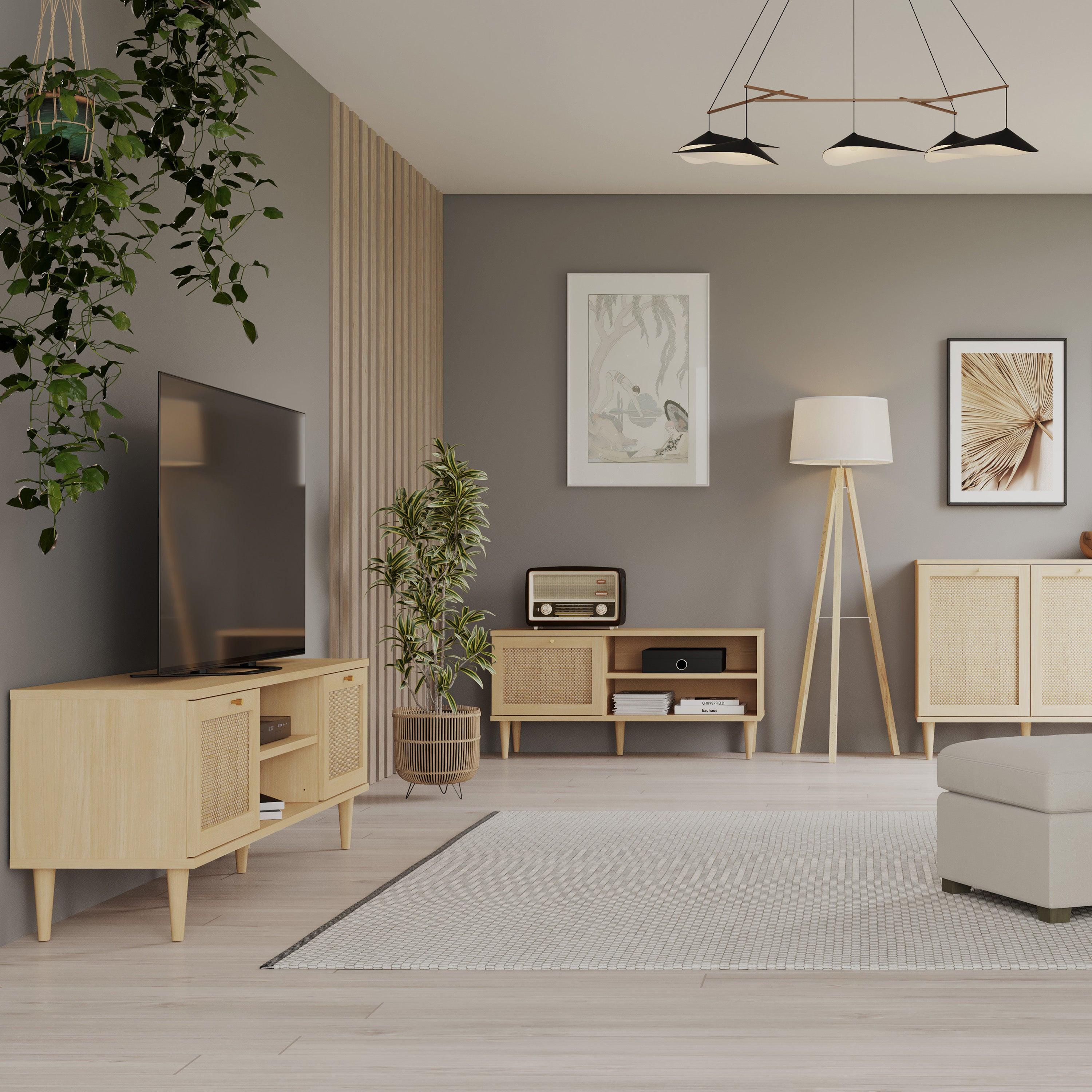 Calasetta 2 Door 1 Shelf TV Unit in Rattan - image 8